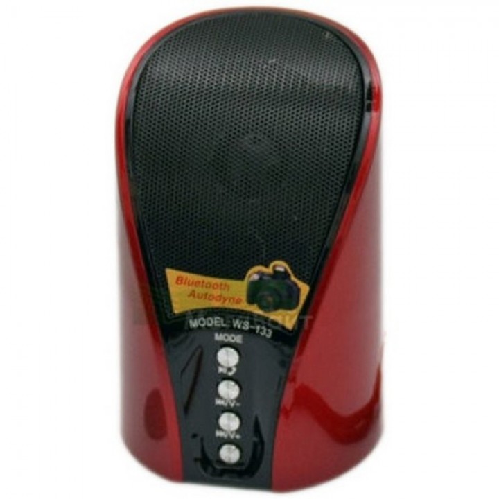 Колонка WSTER WS-133BT ART:2404